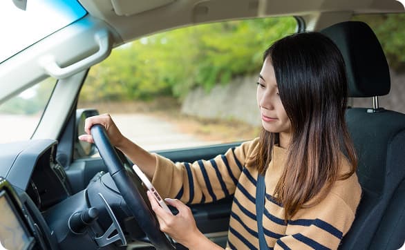 Voice control for in-car and mobility applications